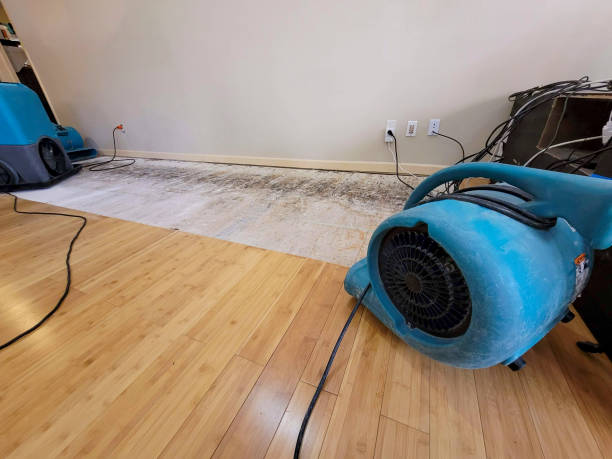 Professional Water Removal technician working in Bunnlevel, NC